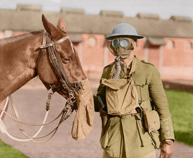 Voják a kůň – oba s plynovými maskami v kanadské nemocnici