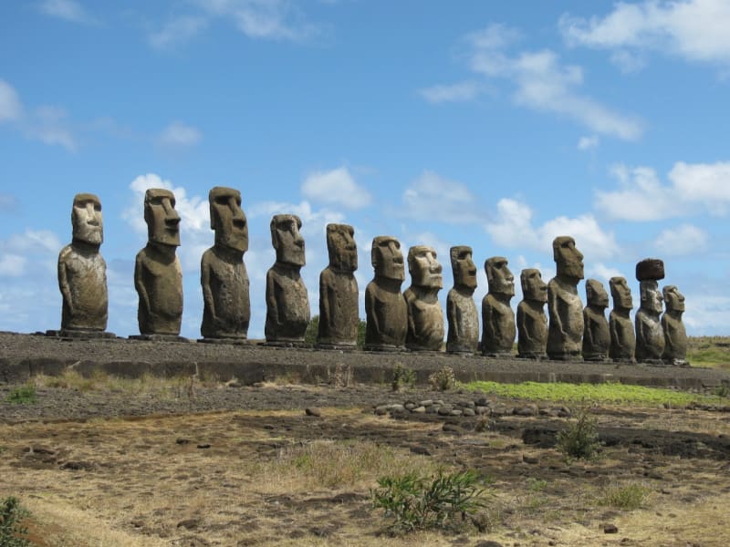 Kolem roku 1600 se podařilo ostrovanům Rapa Nui zničit veškeré lesy ostrova