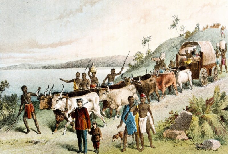 Livingstone byl uznávaný cestovatel
