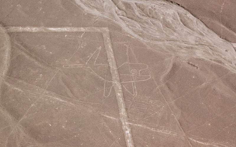 Obrazce na planině Nazca - Obrázek 7