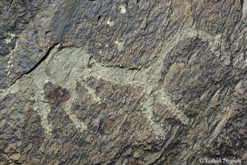 Záhadné petroglyfy - Obrázek 1