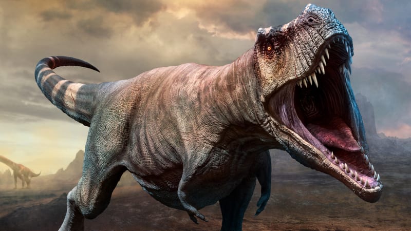 Tyrannosaurus rex pobýval na Zemi po 127 000 generací