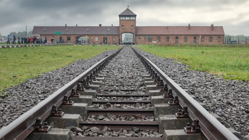 V koncentračním táboře Osvětim probíhalo velké množství děsivých experimentů.