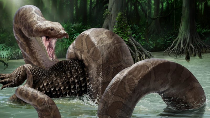 Titanoboa: Jak byl objeven největší had světa?