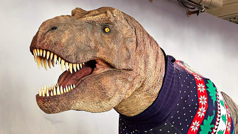 Muzeum obléklo pohyblivého Tyrannosaura do vánočního svetru. Celý proces natočilo