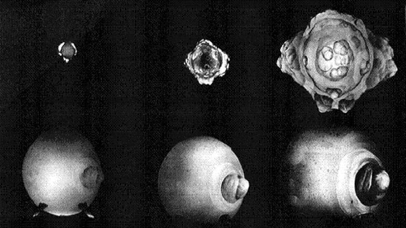 První fotografie výbuchu jaderné pumy