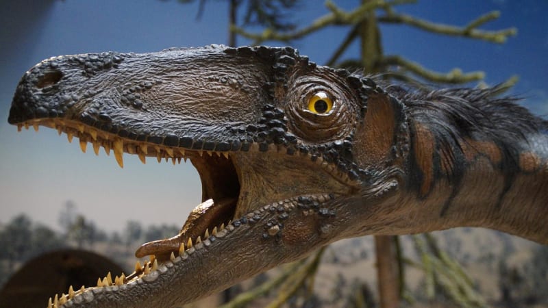 Vědci nalezli na pobřeží Austrálie otisky stop 21 dinosaurů. Lokalitě hrozil zánik