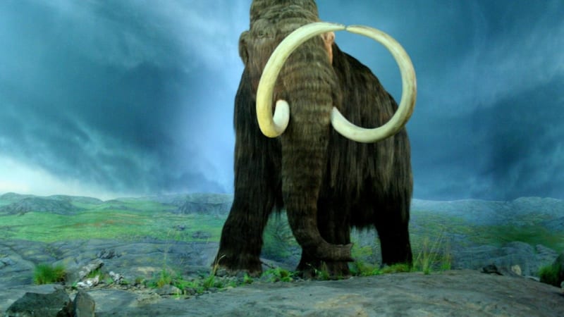 Kdy si sáhneme na živého mamuta? Ta doba se rychle blíží!