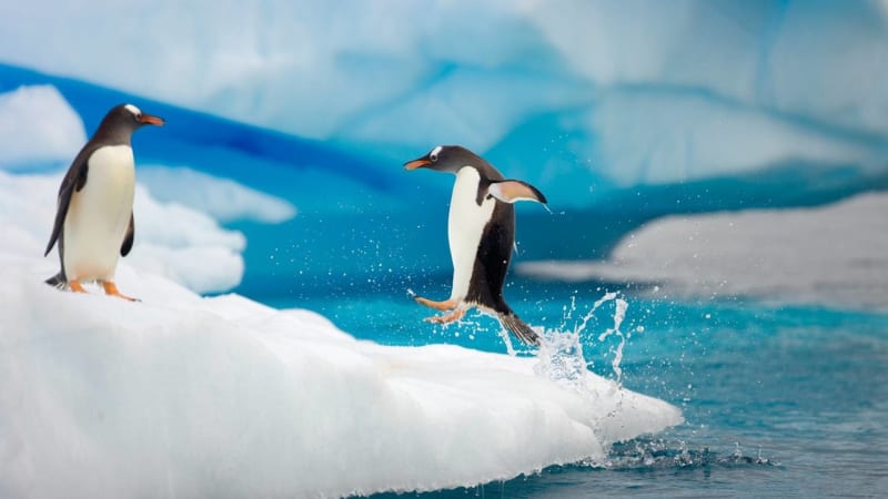 Je globální oteplování nesmysl? V Antarktidě přibylo rekordně ledu. Ale...