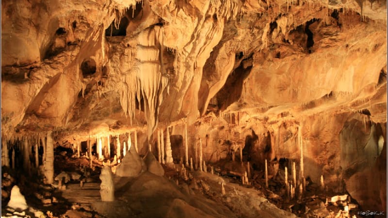 Před 83 lety byly otevřeny krásné Javoříčské jeskyně. Co v nich můžete vidět?
