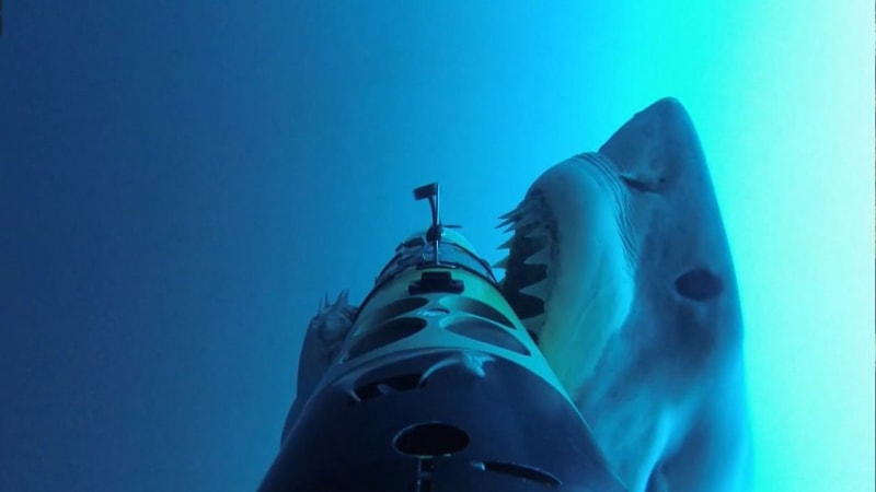 VIDEO: Žralok proti robotovi. A není to žádný podvod!