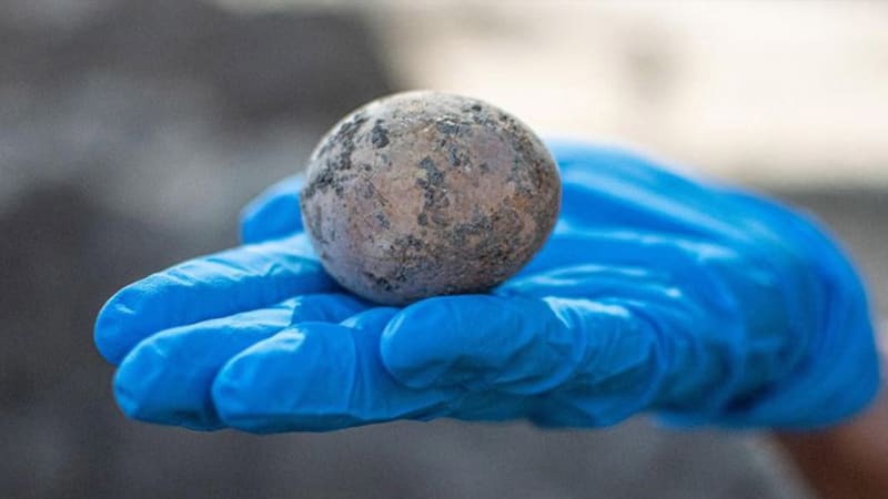 Unikátní nález 1 000 let starého vejce vyvolal nadšení. V laboratoři ale vědci zažili dramatickou chvilku