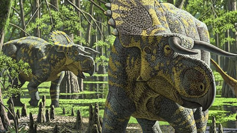 Dinosaura s rohy jako kráva objevili američtí paleontologové
