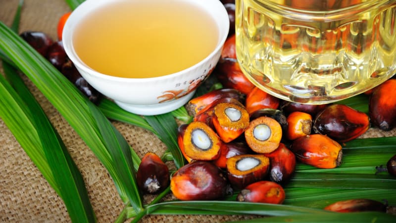 Palmový olej je podle ministra věc etiky, ale zdraví neškodí. Na trhu být může