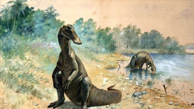 Dinosauři kojili mláďata. Dokázali to i bez cecíků