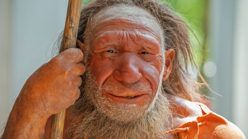 Moderní lidé zřejmě nejsou o nic chytřejší než neandertálci