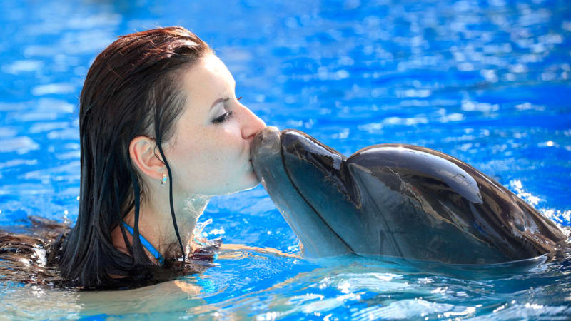 Zamilovaný delfín spáchal kvůli cvičitelce sebevraždu. Podivný experiment platila NASA