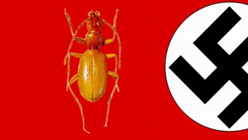 Hitlerův hmyz: jak se žije zvířatům se jménem nacistického diktátora