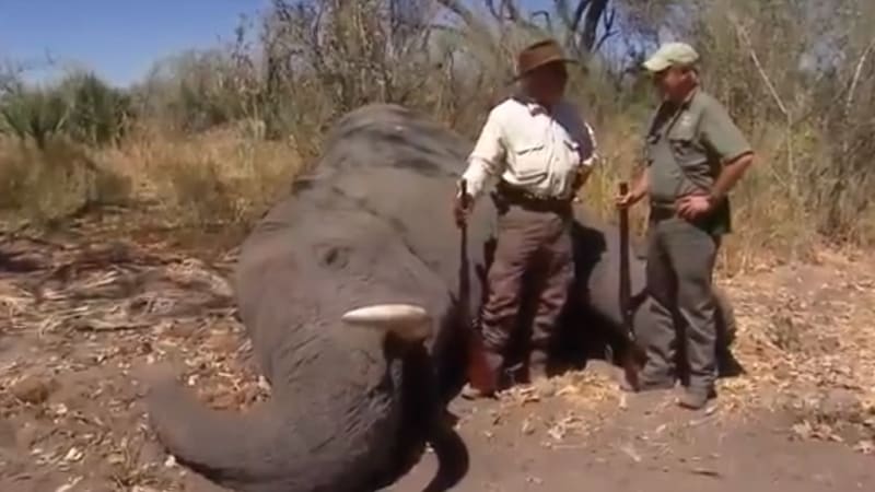 VIDEO: Zastřelil slona a chlubí se tím. Co je to za člověka?