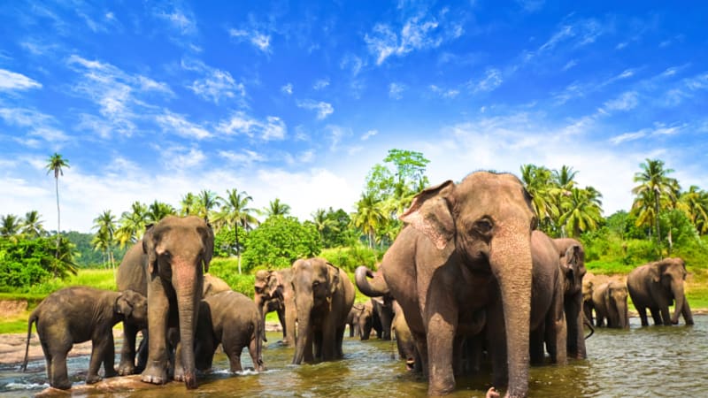 Nádherná Srí Lanka