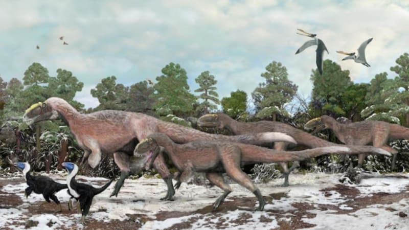 Bratranec tyranosaura byl největším opeřeným dinosaurem na světě