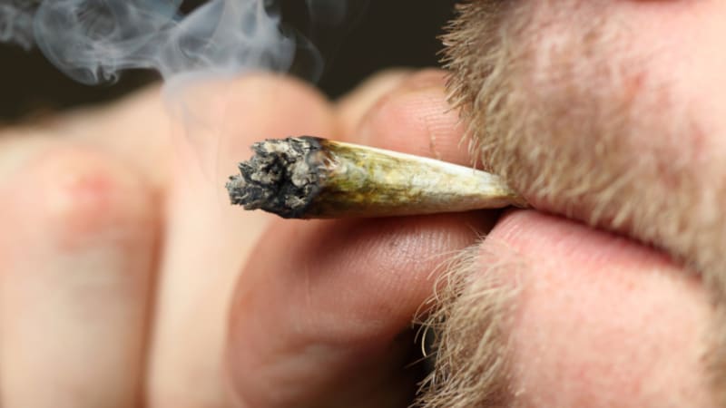 Kouříte českou marihuanu? Hrozí vám schizofrenie – a opravdu hodně
