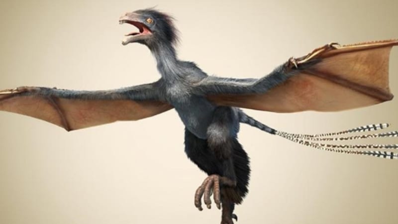 Dinosaurus s netopýřími křídly – další „zvrhlý“ nápad evoluce?