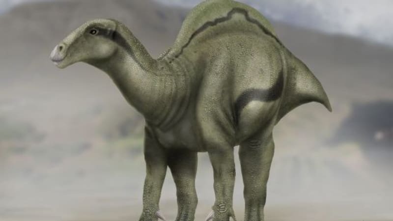 Ve Španělsku objevili neznámého dinosaura - měl podivný vějíř!