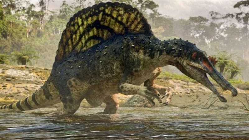 První fosilie dinosauřího mozku ukazuje, že pravěcí tvorové byli zřejmě chytřejší, než jsme si mysleli