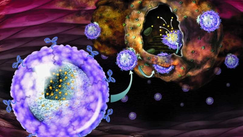 Zničí rakovinu nanočástice? Léčba budoucnosti se blíží!