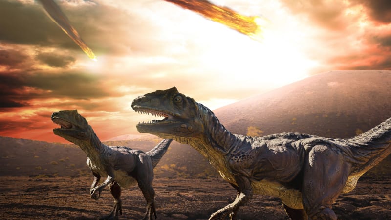 Dinosauři měli smůlu. Kdyby obří meteorit dopadl na Zemi o 30 vteřin později, nemuseli vyhynout