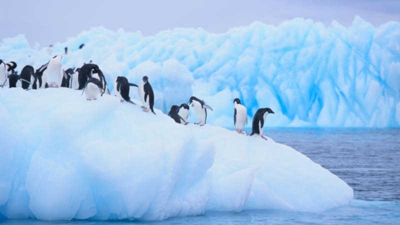 Co se stane, až Antarktida roztaje?