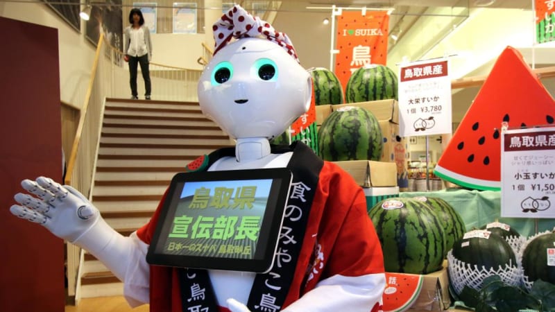 Nová doba: Japonce zatkli za napadení robota