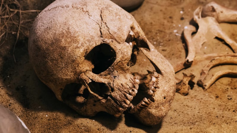 Ve šlechtickém sídle byly nalezeny ostatky tří rituálních obětí. Důvod jejich smrti je nepochopitelný