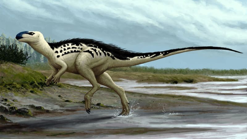 Jediný český dinosaurus žil před 94 miliony lety. Nalezená kost se zachovala zázrakem