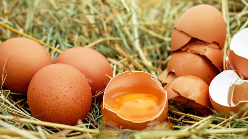 Jedno vejce denně může významně snížit riziko kardiovaskulárních onemocnění, tvrdí studie