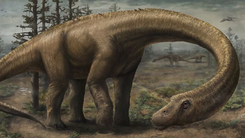 Vědci našli největšího dinosaura na světě. A pozor, nebyl ani dospělý!