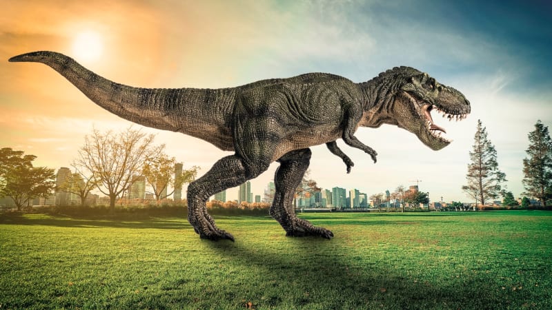 Existoval trpasličí Tyranosaurus rex? Konečně máme jasno