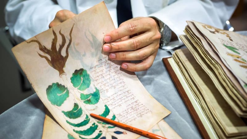 Voynichův rukopis je nejzáhadnější knihou světa. Do jeho luštění se můžete pustit i vy