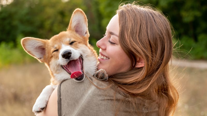Psi mají k člověku geneticky blíž, než se myslelo. Od zbytku zvířat je odlišuje jedinečná schopnost
