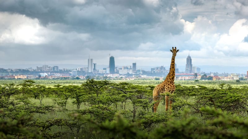 Národní park Nairobi