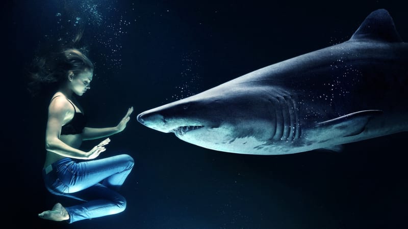Nejnebezpečnější ryba… není žralok