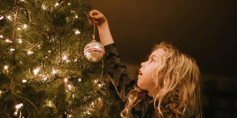 Jsou Vánoce nejoblíbenějším svátkem v roce i pro vás?