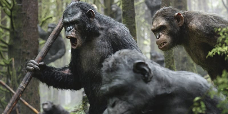 Fotka z filmu Úsvit planety opic (ilustrační foto)