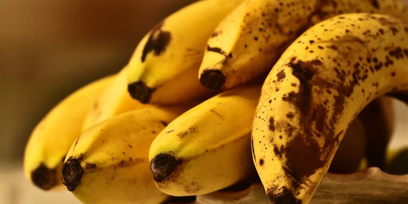 Banány z tropů na chlad nejsou zvyklé a v lednici černají.