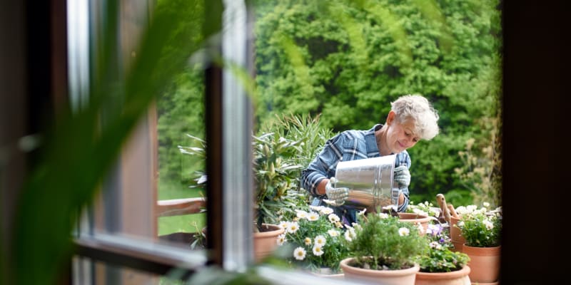 Zahrádka na balkoně či terase se může zelenat celý rok, zároveň je hned po ruce 