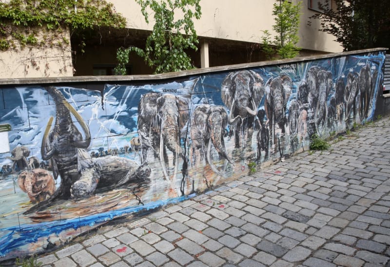 Garážová vrata a zeď u domu zdobí graffiti divokých zvířat