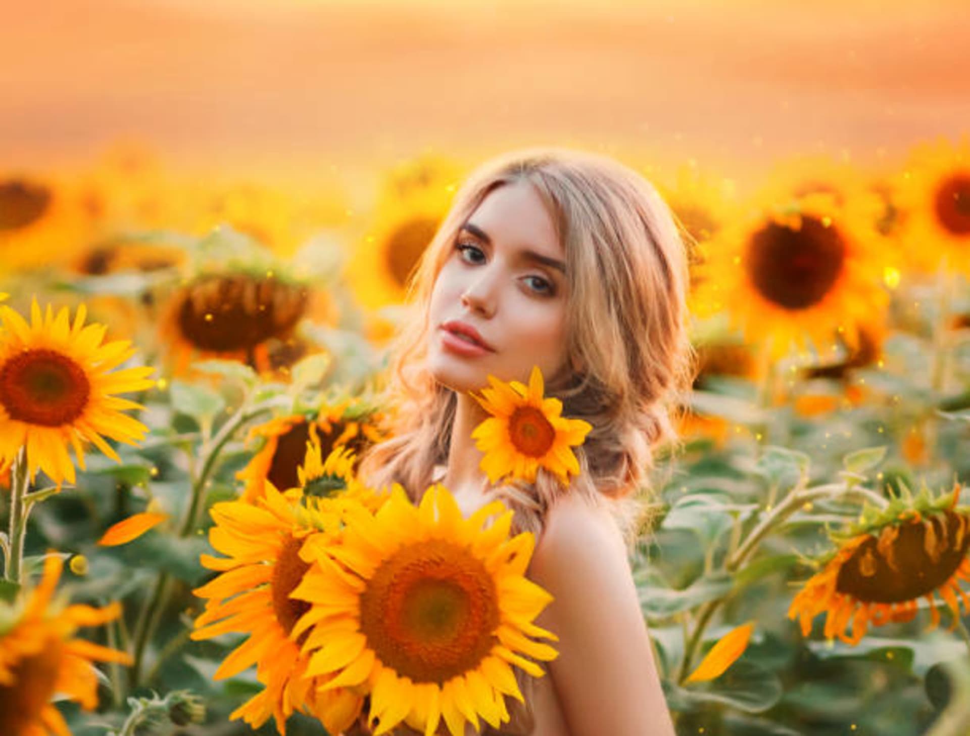 Na Ukrajině se věří, že kvetoucí slunečnice vrátí do země mír