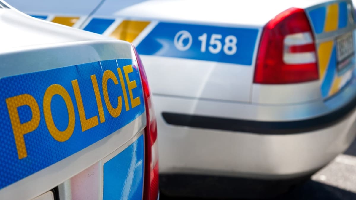 Policie odvolala pátrání po dvanáctileté dívce z obce Velká Hleďsebe na Chebsku.