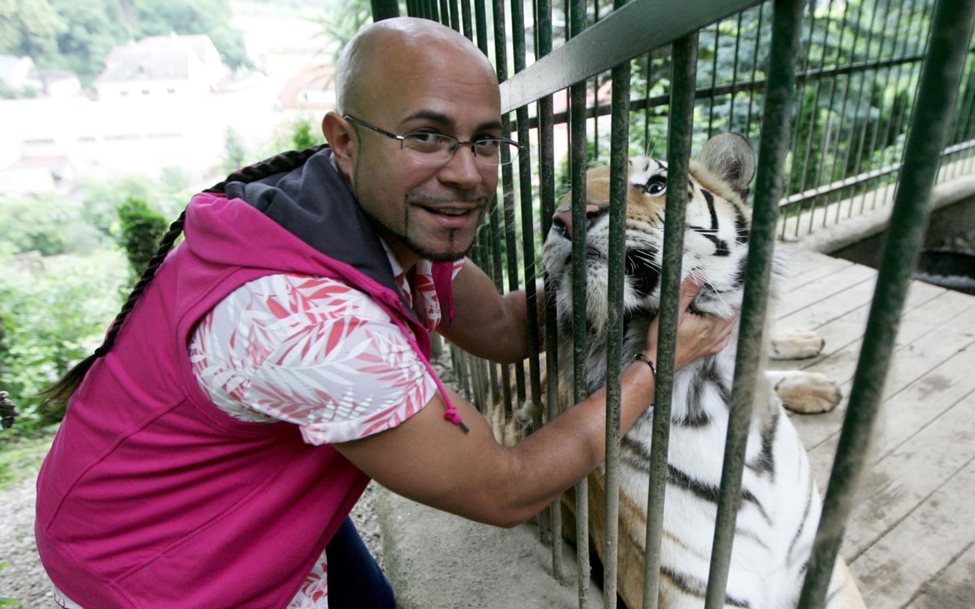 Módní návrhář Osmany Laffita s přítelem pořídil rovnou tygra.